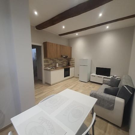 Alloggi Di Porta Po Apartment Cremona Bagian luar foto