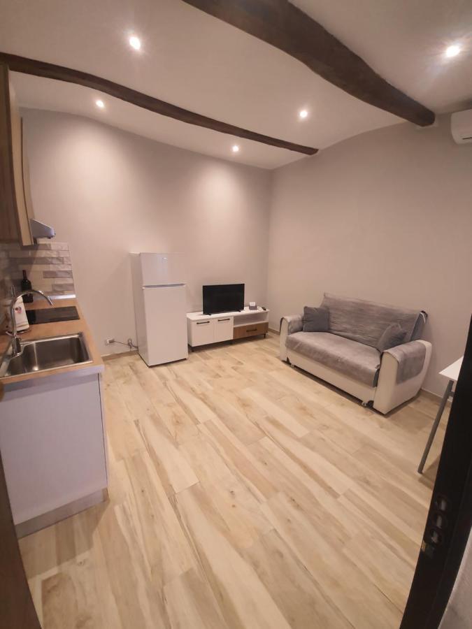 Alloggi Di Porta Po Apartment Cremona Bagian luar foto